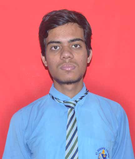 PARTHSARATHI  DWIVEDI