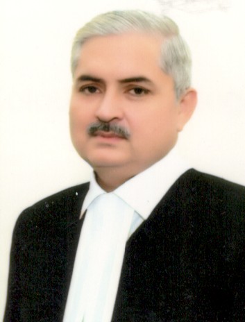 Hon'ble Mr. Justice Rajeev Misra