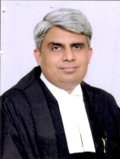 Hon'ble Mr. Justice Saumitra Dayal Singh